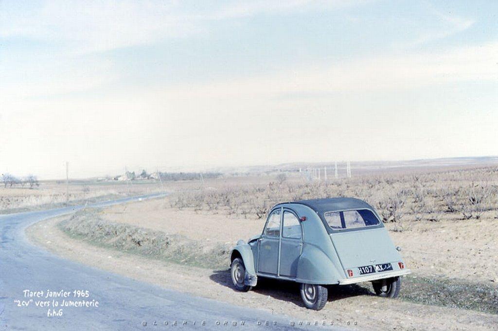 TIARET LA 2 CV VERS LA JUMENTERIE 1965.JPG